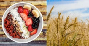 Read more about the article What Does Fiber Do for the Body?10 Super Benefits of Fiber