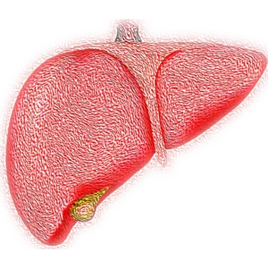 Read more about the article What are the symptoms of fatty liver Understanding the Warning Signs