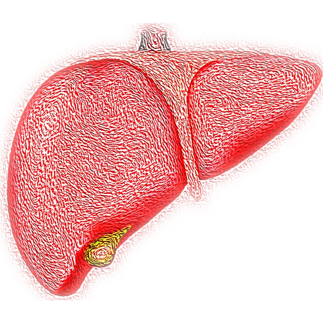 symptoms of fatty liver