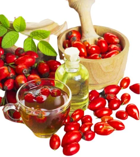 is rosehip oil good for hair